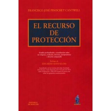 El recurso de protección